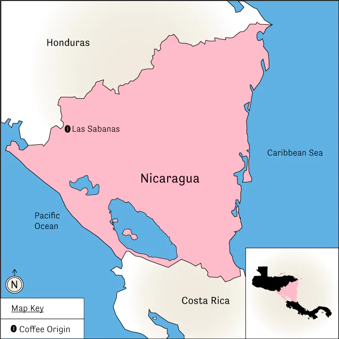 Cinco de Junio - Image 4