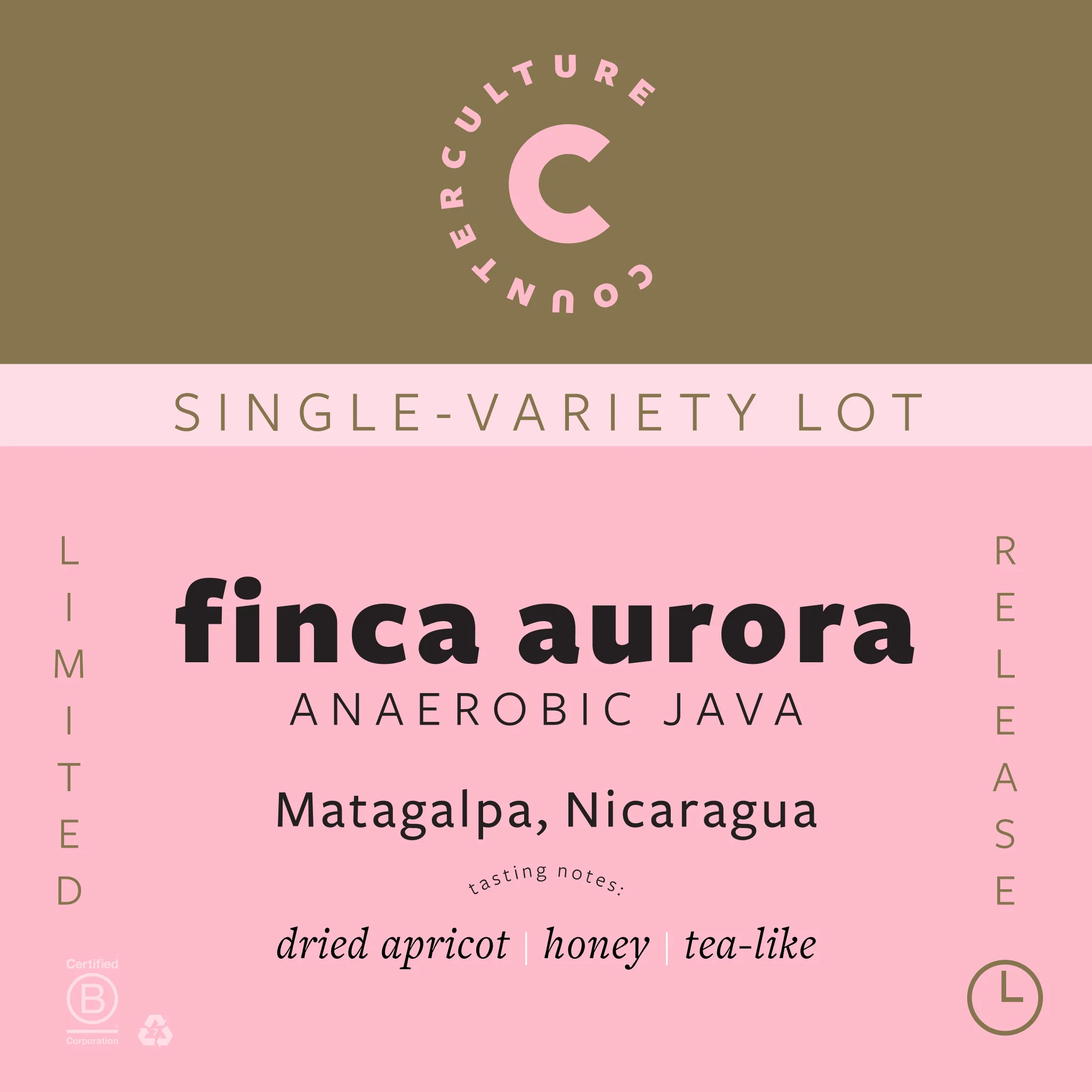 Finca Aurora – Anaerobic Java - Image 4