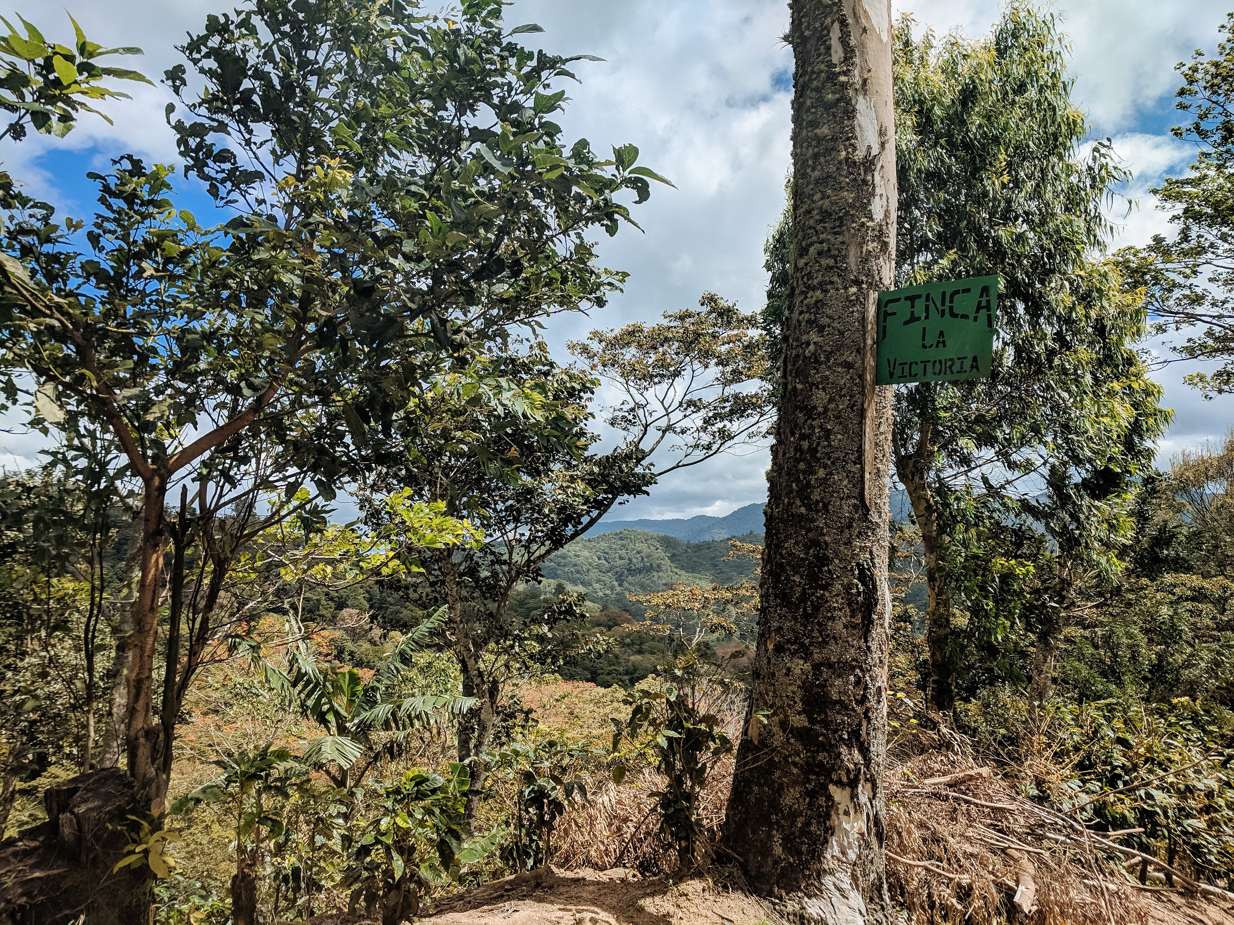 Finca La Victoria - Image 4