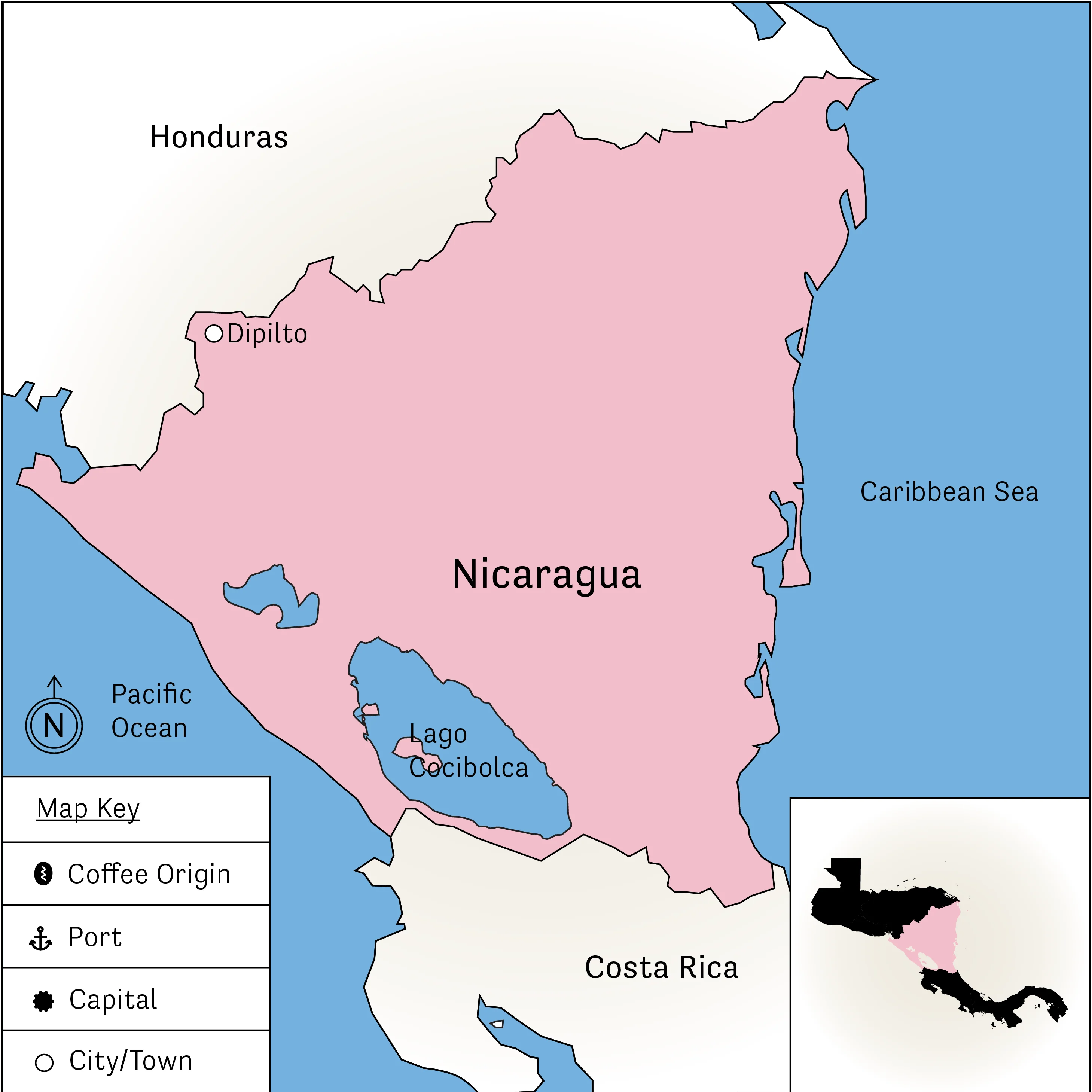 Finca La Victoria – Maragogipe Variety - Image 4