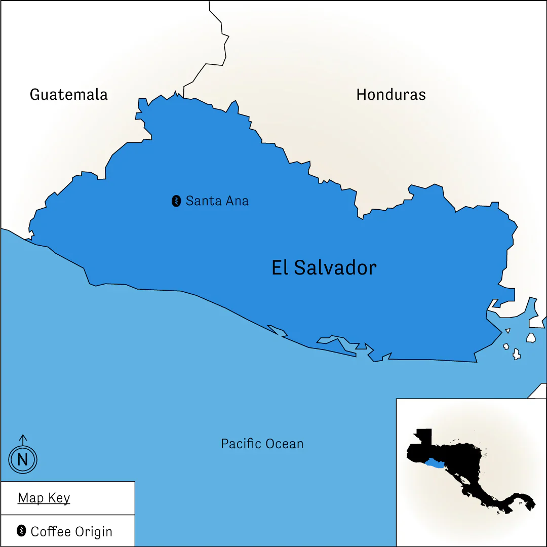 Finca Santa Elena - Image 4
