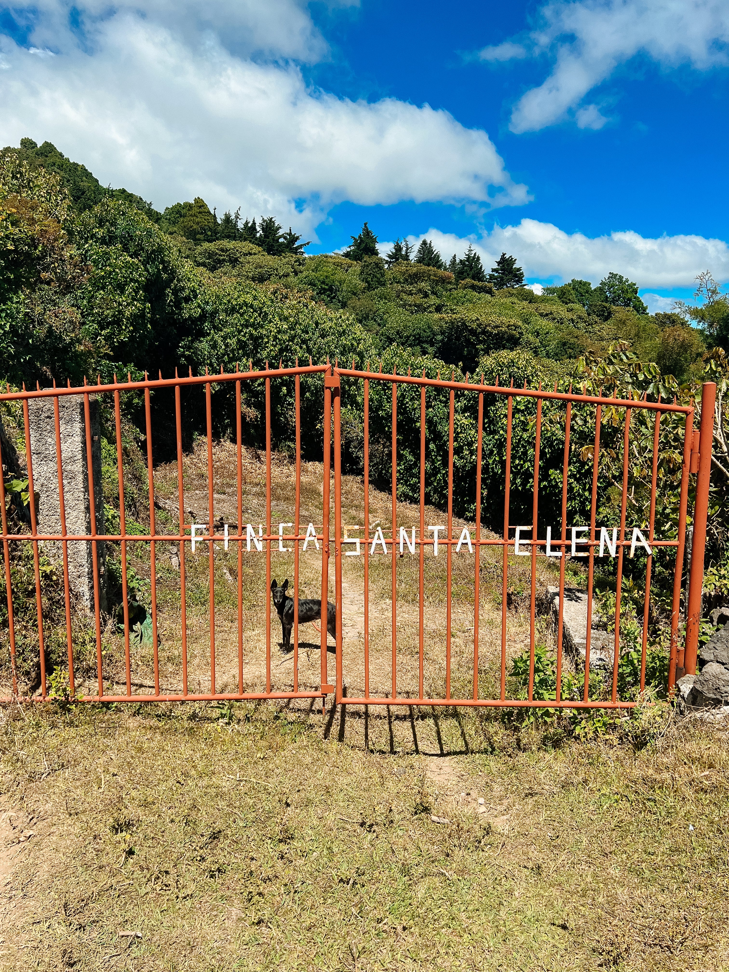 Finca Santa Elena - Image 5