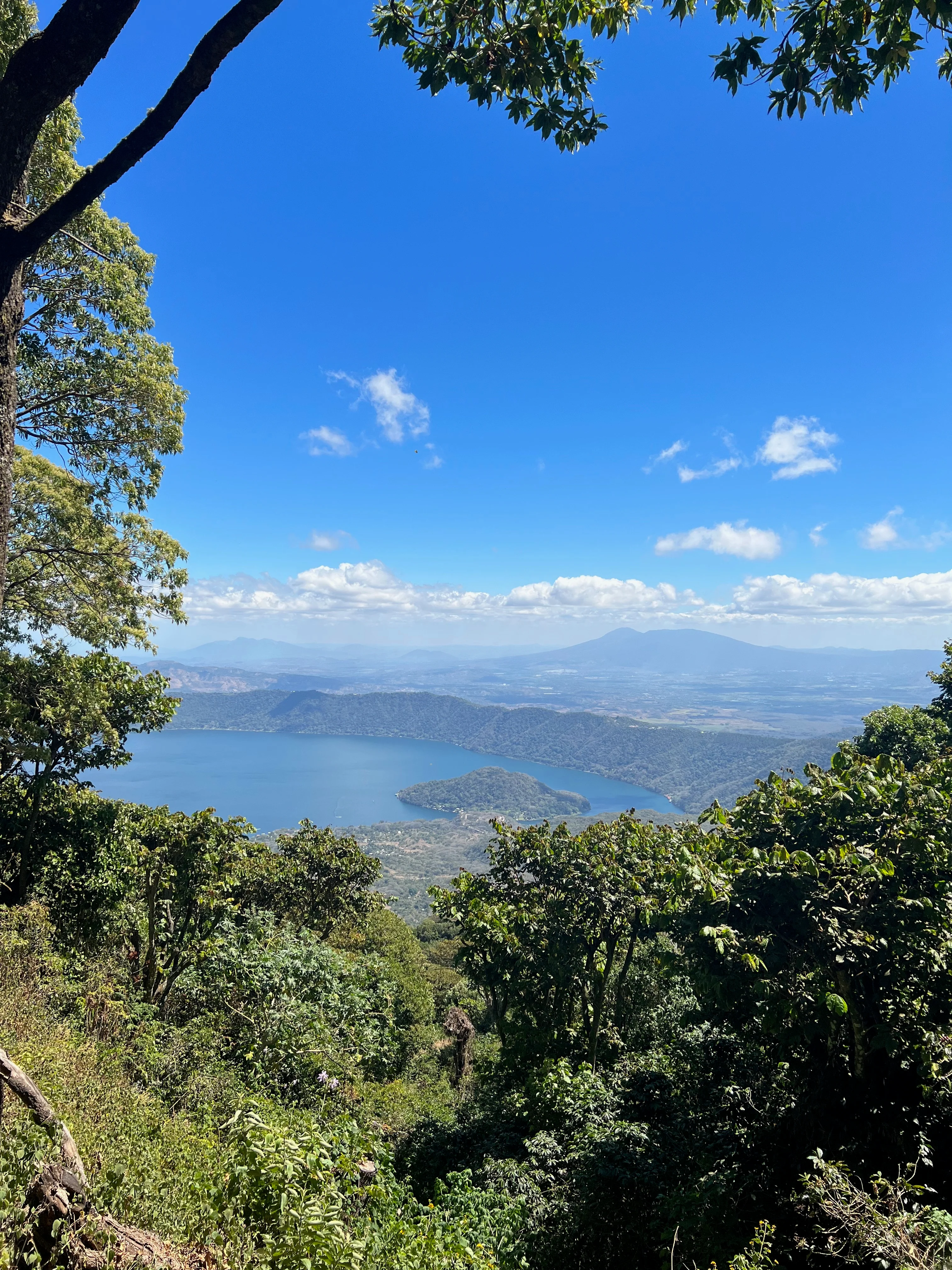 Finca Santa Elena – Pacamara Variety - Image 4