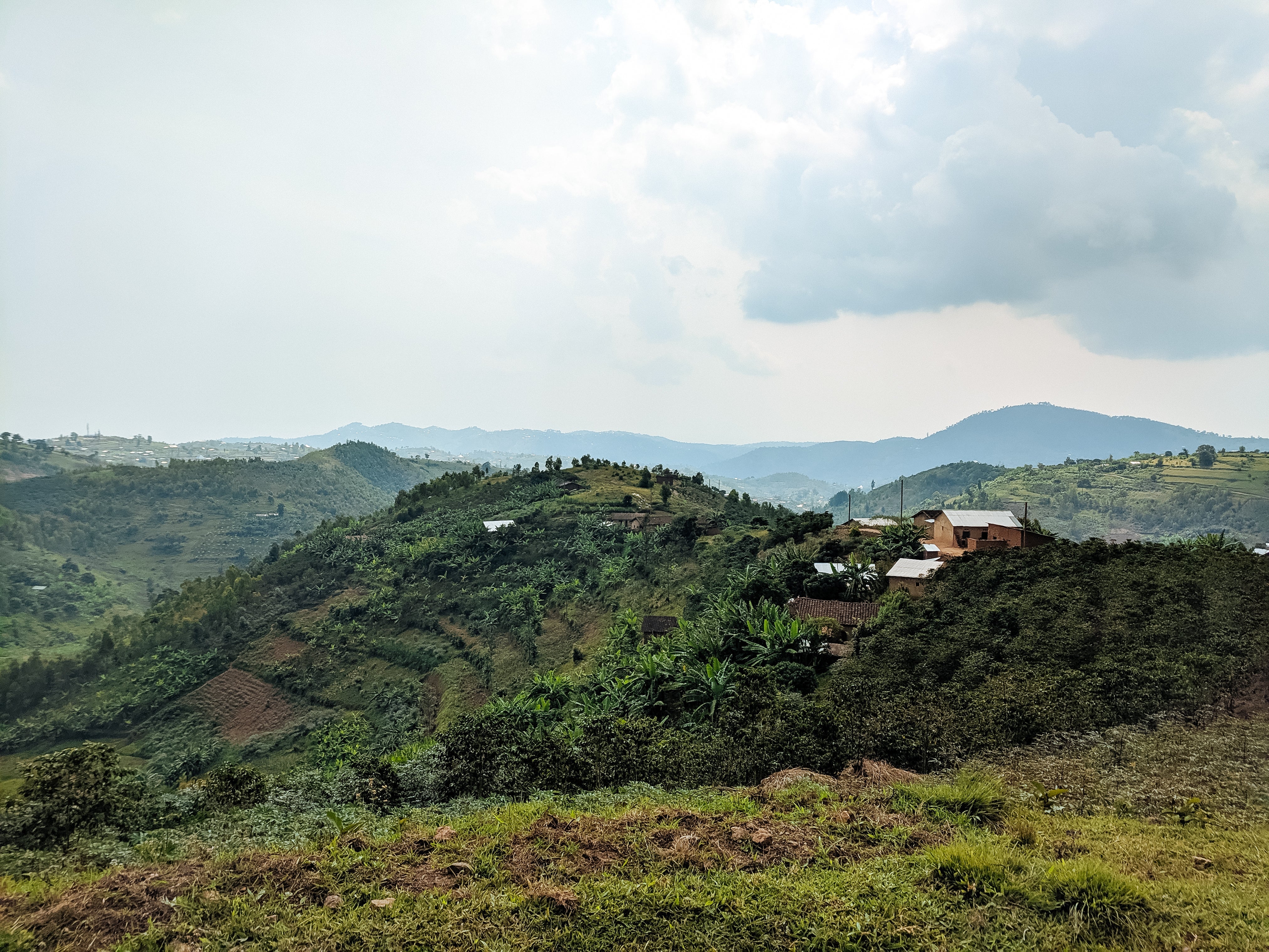 Intango - Image 2