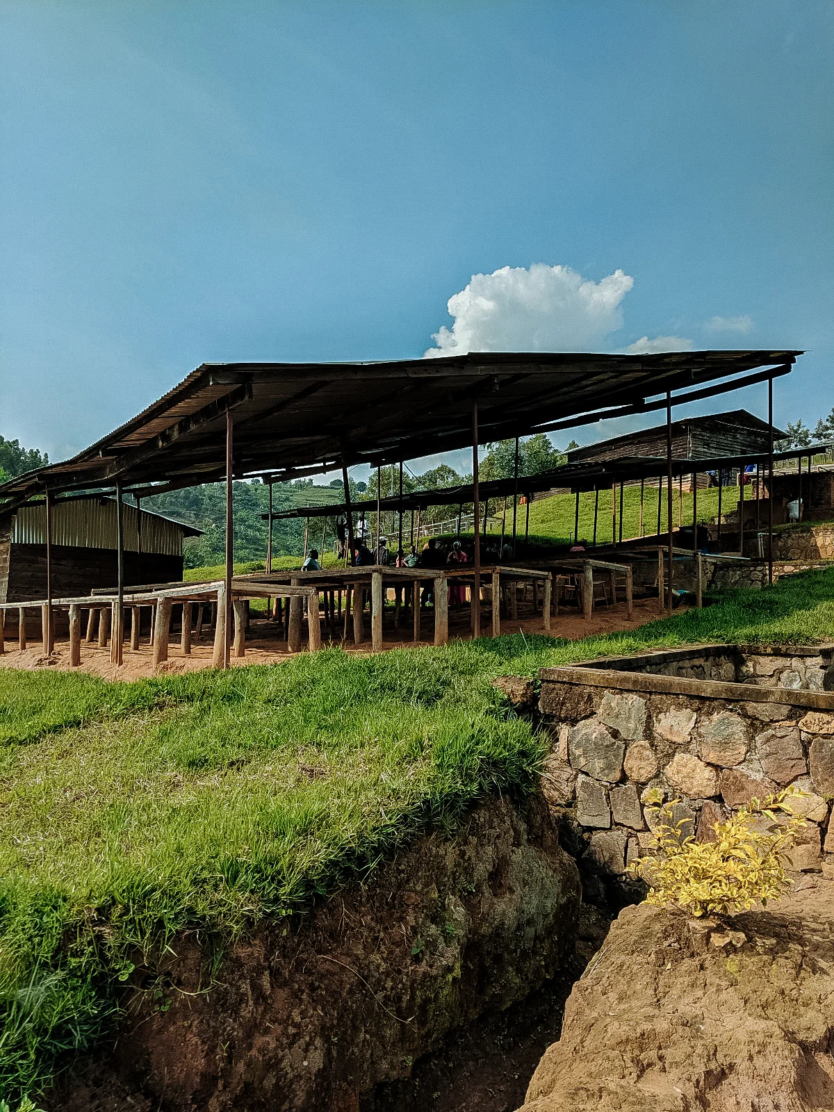 Intango - Image 3