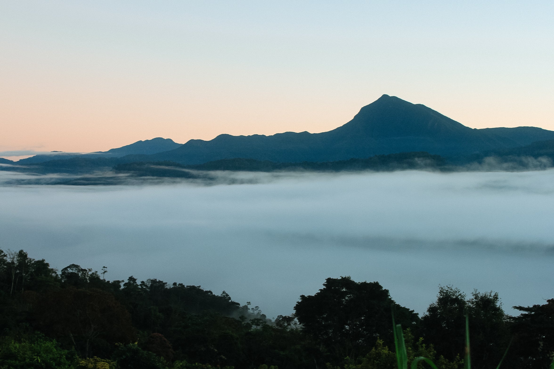 Nueva Llusta - Image 3