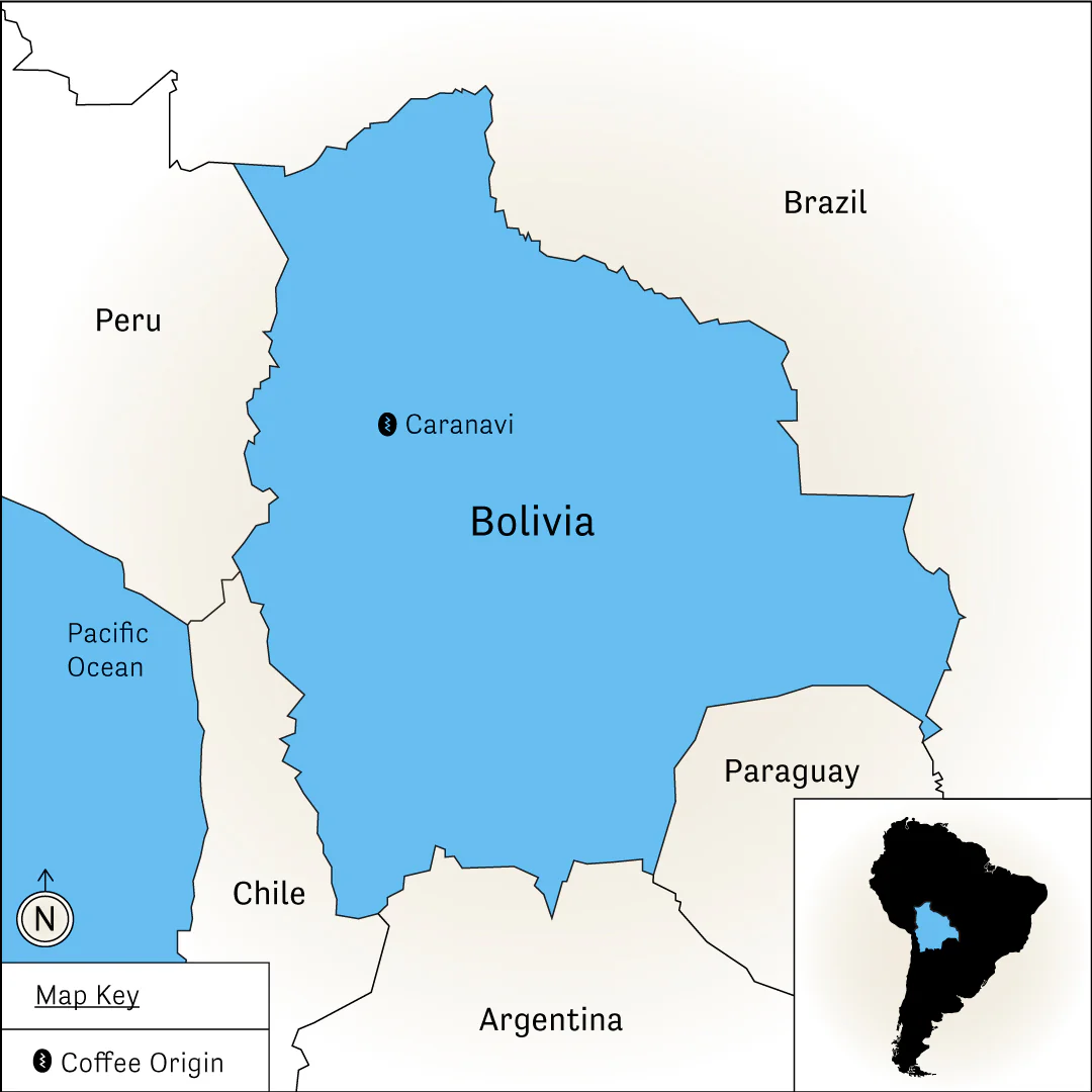 Nueva Llusta - Image 4