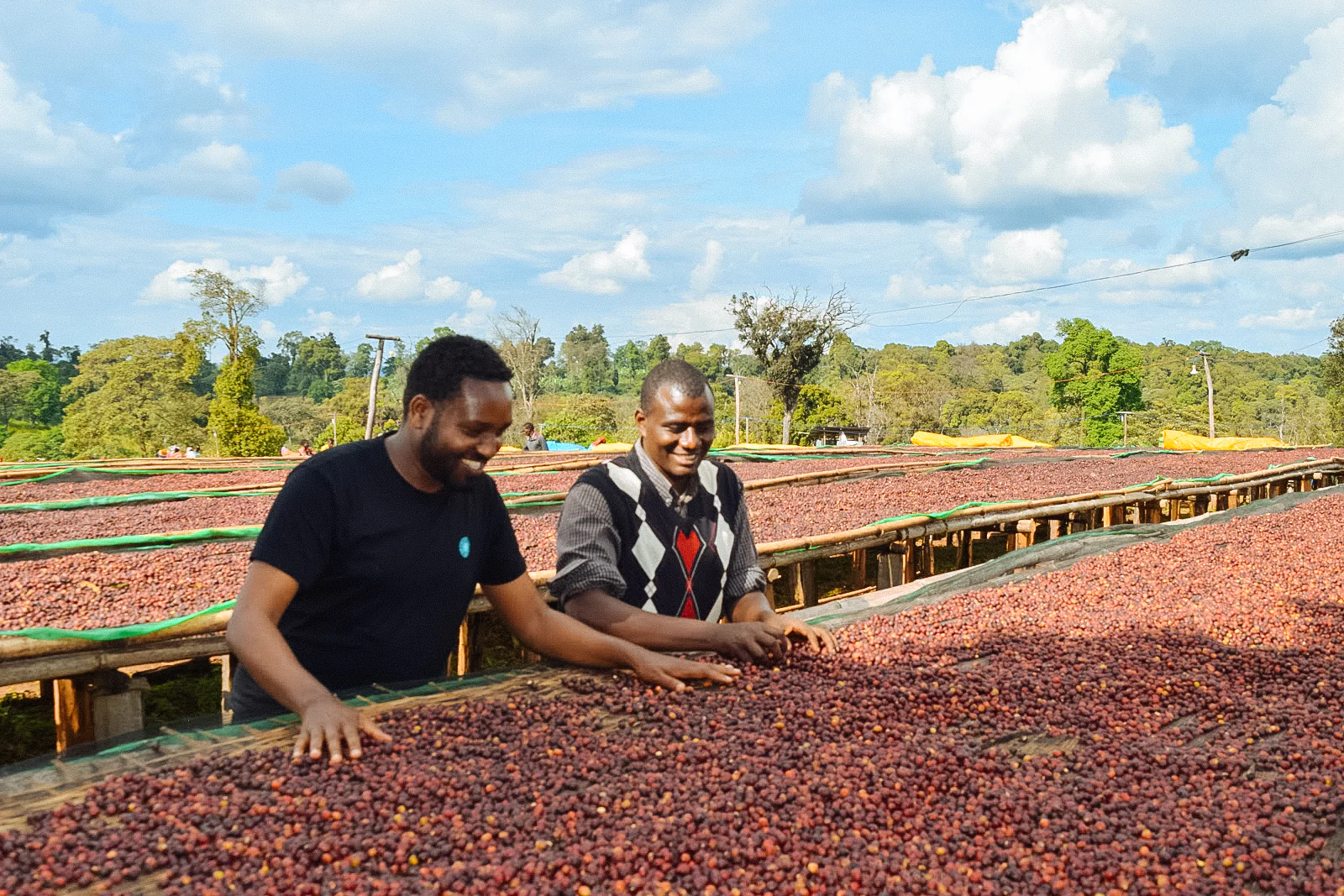 Okoluu – Natural Sundried - Image 3