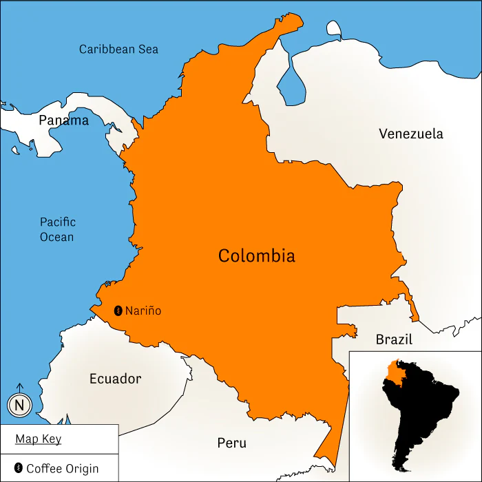 Pablo Cordoba - Image 6
