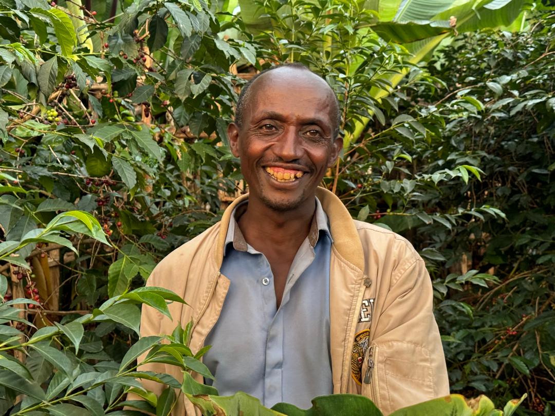 Shiferaw Dukale - Natural Sundried - Image 5